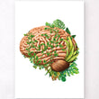 Laden Sie das Bild in den Galerie-Viewer, anatomicul brain poster