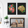 Load image into Gallery viewer, anatomy posters - brain and heart