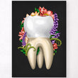 Load image into Gallery viewer, Molar anatomy poster