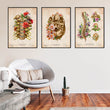 Load image into Gallery viewer, Anatomy art prints