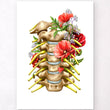 Load image into Gallery viewer, Cervical spinal nerves anatomy poster