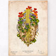 Load image into Gallery viewer, Sacral plexus anatomy print