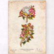 Load image into Gallery viewer, Herniated disc anatomy poster