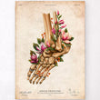 Load image into Gallery viewer, Ankle fracture anatomy print