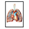 Load image into Gallery viewer, geometrical heart and lungs anatomy poster by codex anatomicus