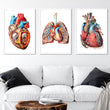 Load image into Gallery viewer, geometric anatomy art set for cardiology clinic and general practiced framed in white wooden frames and decorating a patients waiting room