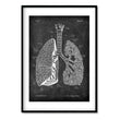 Load image into Gallery viewer, lungs anatomy poster in chalkboard style by codex anatomicus