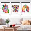 Load image into Gallery viewer, watercolor medical art art set consisting of heart, ribcage and lung anatomy art prints which decorate a waiting room are in a general medical practice