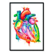 Load image into Gallery viewer, framed heart anatomy art print in watercolor style by codex anatomicus
