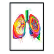 Load image into Gallery viewer, framed lungs anatomy poster in watercolor style by codex anatomicus