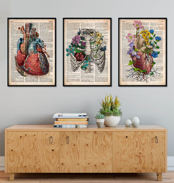 old dictionary style framed anatomy art print set of 3 design, including heart and rib cage anatomy, decorating a wall in a home
