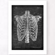 Load image into Gallery viewer, Thorax anatomy poster