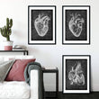 Laden Sie das Bild in den Galerie-Viewer, Heart anatomy chalkboard art set by codex anatomicus