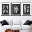 Laden Sie das Bild in den Galerie-Viewer, Knee anatomy poster