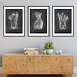 Laden Sie das Bild in den Galerie-Viewer, torso muscles anatomy art set by codex anatomicus decorating a physiotherapy waiting room