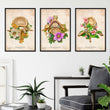 Charger l'image dans la galerie, Vertebrae anatomy posters