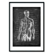 Load image into Gallery viewer, Spine & Back Set of 3 - Chalkboard