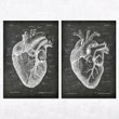Load image into Gallery viewer, Chalkboard heart anatomy poster