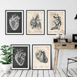 Load image into Gallery viewer, Heart anatomy art wall