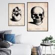 Laden Sie das Bild in den Galerie-Viewer, Anatomical skull art