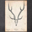 Laden Sie das Bild in den Galerie-Viewer, Deer skull poster