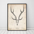Laden Sie das Bild in den Galerie-Viewer, Derr skull poster