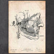 Laden Sie das Bild in den Galerie-Viewer, Face anatomy diagram