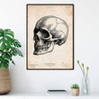 Charger l'image dans la galerie, Skull anatomy art