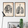Laden Sie das Bild in den Galerie-Viewer, Thorax Kunst