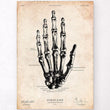 Laden Sie das Bild in den Galerie-Viewer, Human hand anatomy print