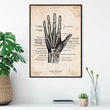 Laden Sie das Bild in den Galerie-Viewer, Hand vintage anatomy poster by Codex Anatomicus