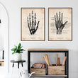 Laden Sie das Bild in den Galerie-Viewer, Hand anatomy art print