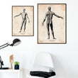 Laden Sie das Bild in den Galerie-Viewer, Anatomy art print