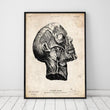 Laden Sie das Bild in den Galerie-Viewer, Head anatomy poster