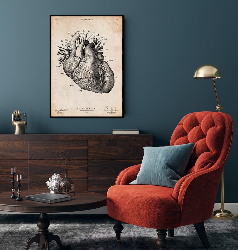 Heart anatomy chart - Vintage Poster - Codex Anatomicus