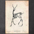 Laden Sie das Bild in den Galerie-Viewer, Deer skeleton art print