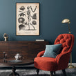 Laden Sie das Bild in den Galerie-Viewer, Human skeleton anatomy poster