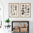 Laden Sie das Bild in den Galerie-Viewer, Skeleton poster