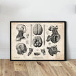 Laden Sie das Bild in den Galerie-Viewer, Brain anatomy art