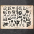 Laden Sie das Bild in den Galerie-Viewer, Human anatomy chart