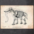 Laden Sie das Bild in den Galerie-Viewer, Elephant skeleton art print