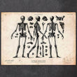 Load image into Gallery viewer, Skeleton art print