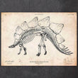 Laden Sie das Bild in den Galerie-Viewer, Dinosaur skeleton print - Stegosaurus