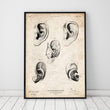 Load image into Gallery viewer, Ear anatomy poster