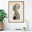 Laden Sie das Bild in den Galerie-Viewer, Brain anatomy poster head section