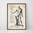 Laden Sie das Bild in den Galerie-Viewer, Full body human anatomy print VI art print