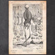 Laden Sie das Bild in den Galerie-Viewer, Human skeleton diagram