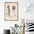Laden Sie das Bild in den Galerie-Viewer, Brain and nervous system anatomy