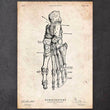 Laden Sie das Bild in den Galerie-Viewer, Foot anatomy art print