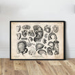 Laden Sie das Bild in den Galerie-Viewer, Human anatomy drawing